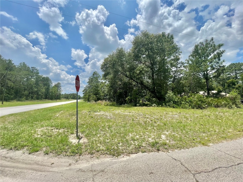 TBD SW 55th Court Road #LOT 5 Ocala FL 34473 OM658182 image1