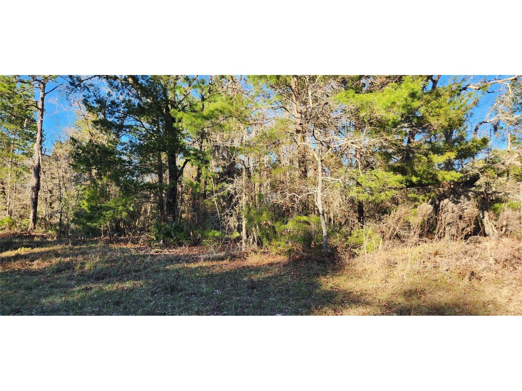 TBD SW 55th Court Road Ocala FL 34473 OM651486 image1