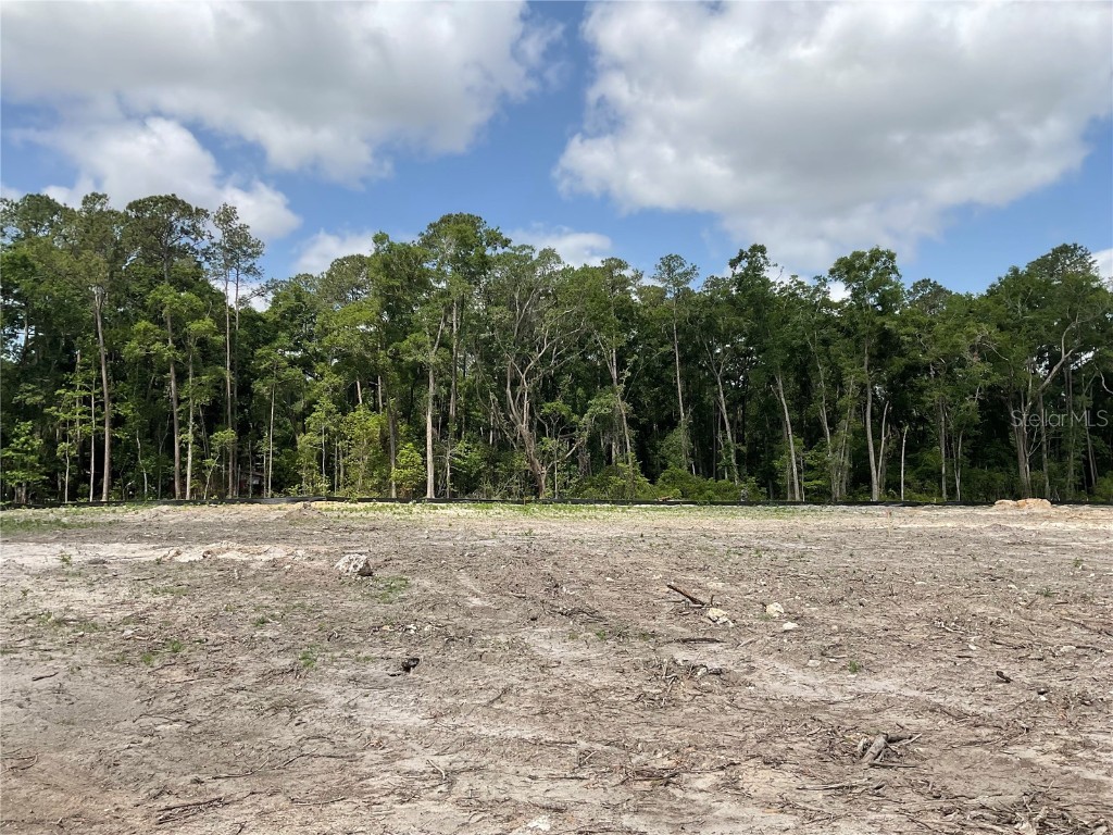 TBD SW 55th Rd Gainesville FL 32608 GC530308 image2
