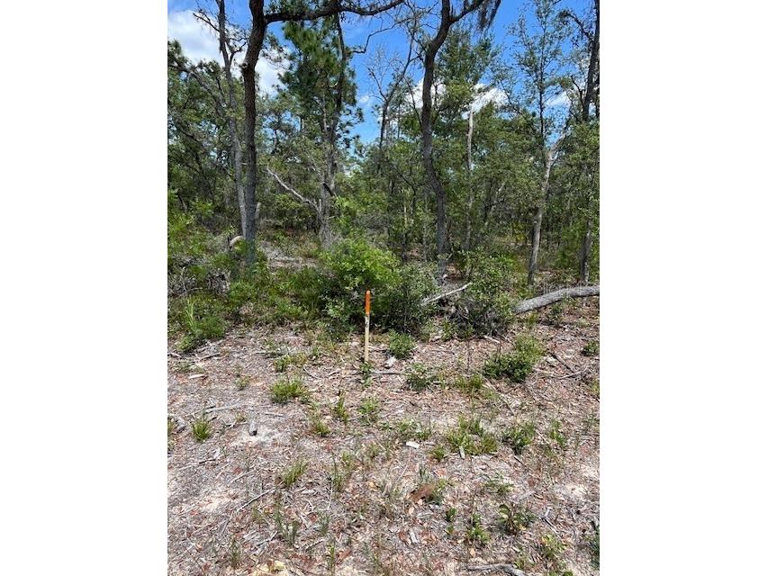 TBD SW 57th Avenue #46 & 47 Interlachen FL 32148 OM701468 image1