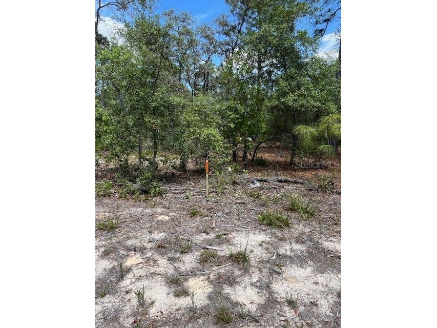 TBD SW 57th Avenue #46 & 47 Interlachen FL 32148 OM701468 image2