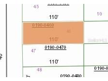 TBD SW 57th Avenue #46 & 47 Interlachen FL 32148 OM701468 image3