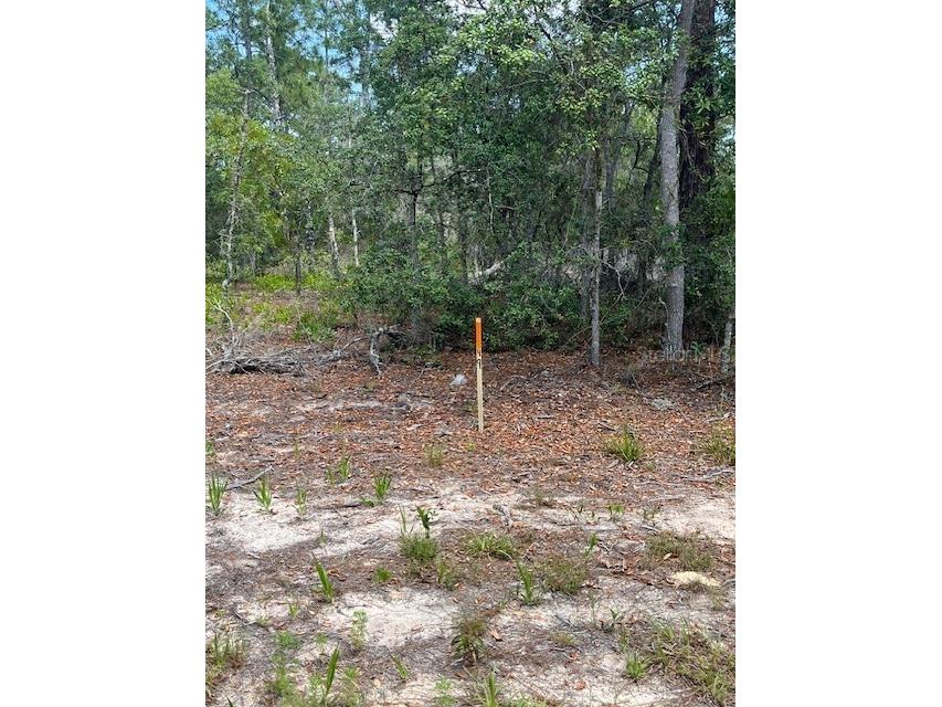 TBD SW 57th Avenue #48 & 49 Interlachen FL 32148 OM701479 image2