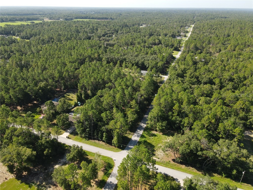 TBD SW 57th Street Dunnellon FL 34431 OM682273 image1