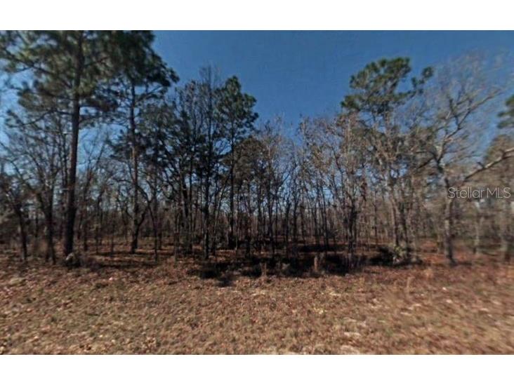 TBD Sw 57th Terrace Road Ocala FL 34473 O6138008 image1