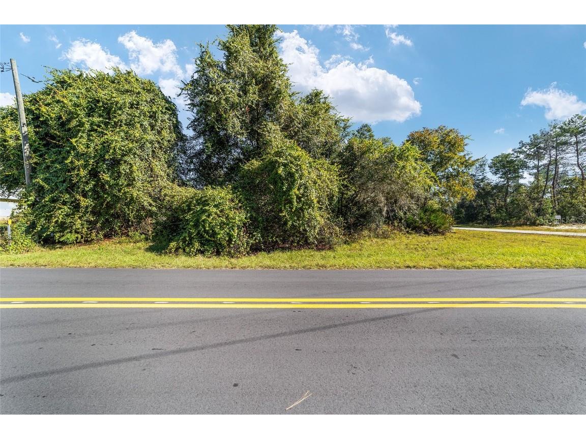 TBD SW 59th Ave Road Ocala FL 34473 OM712825 image19