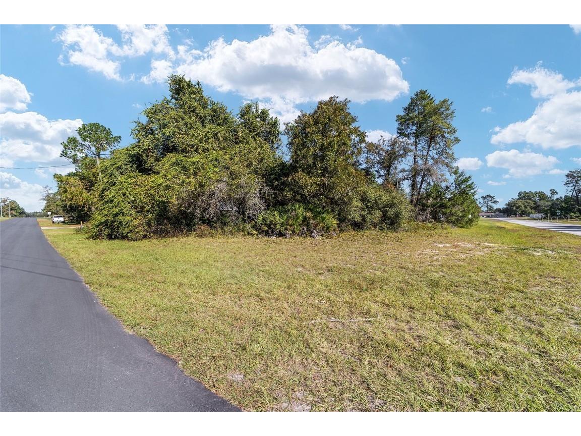 TBD SW 59th Ave Road Ocala FL 34473 OM712825 image20