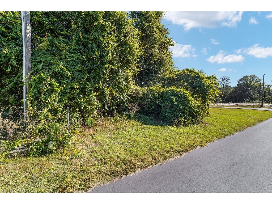 TBD SW 59th Ave Road Ocala FL 34473 OM712825 image21