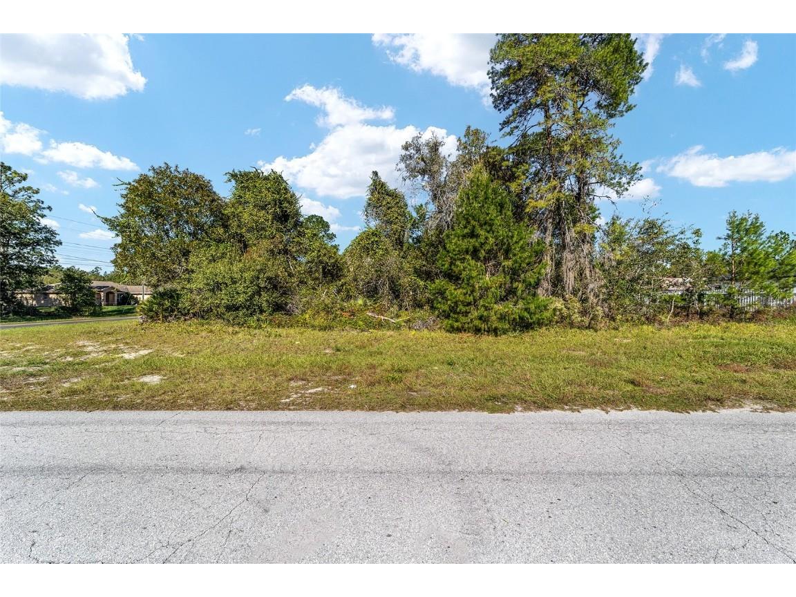TBD SW 59th Ave Road Ocala FL 34473 OM712825 image22