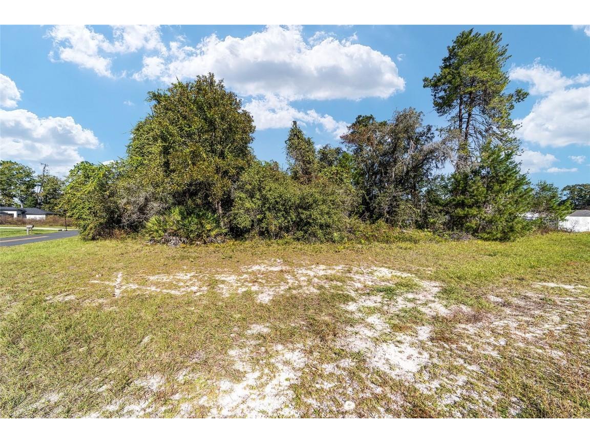 TBD SW 59th Ave Road Ocala FL 34473 OM712825 image23