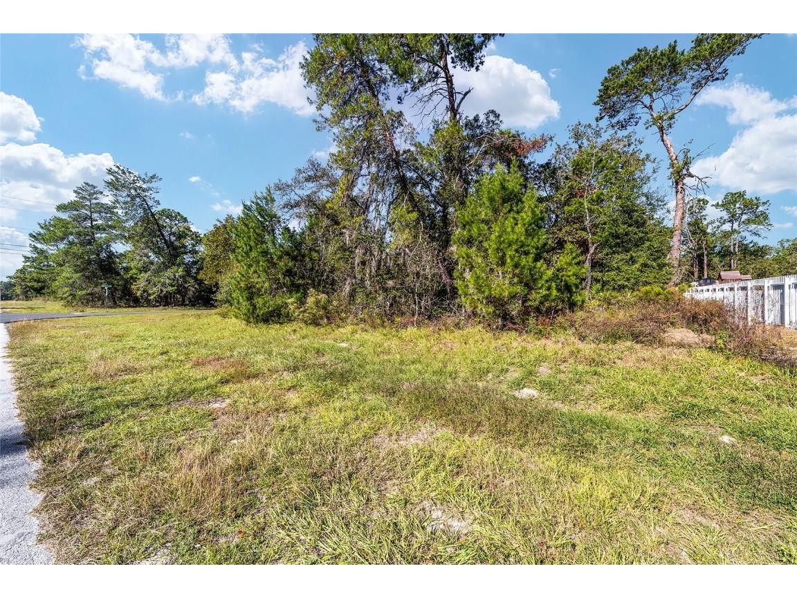 TBD SW 59th Ave Road Ocala FL 34473 OM712825 image24