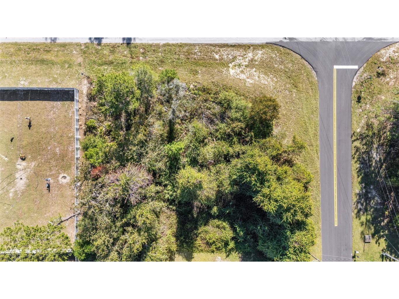 TBD SW 59th Ave Road Ocala FL 34473 OM712825 image9