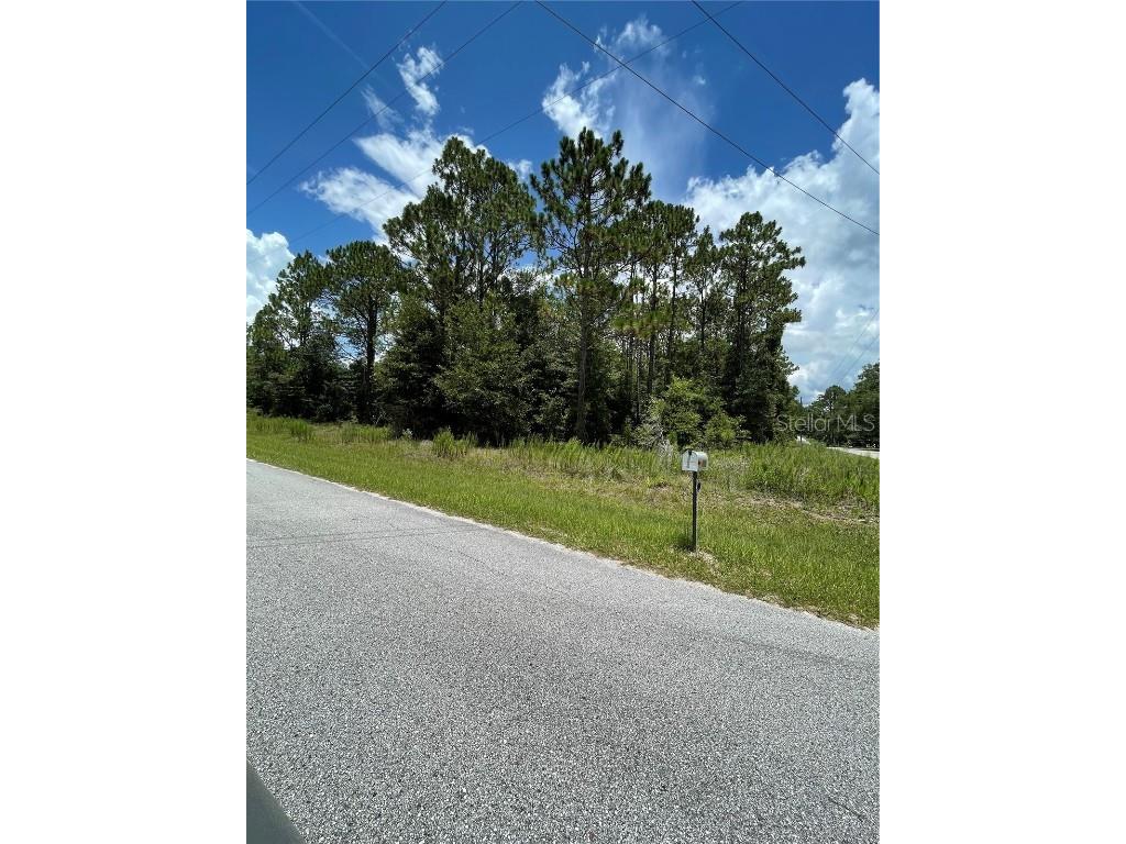 TBD SW 59th Lane Dunnellon FL 34431 OM652261 image1