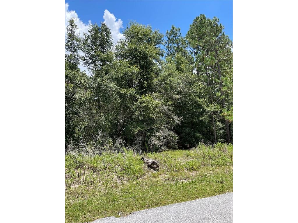 TBD SW 59th Lane Dunnellon FL 34431 OM669318 image1