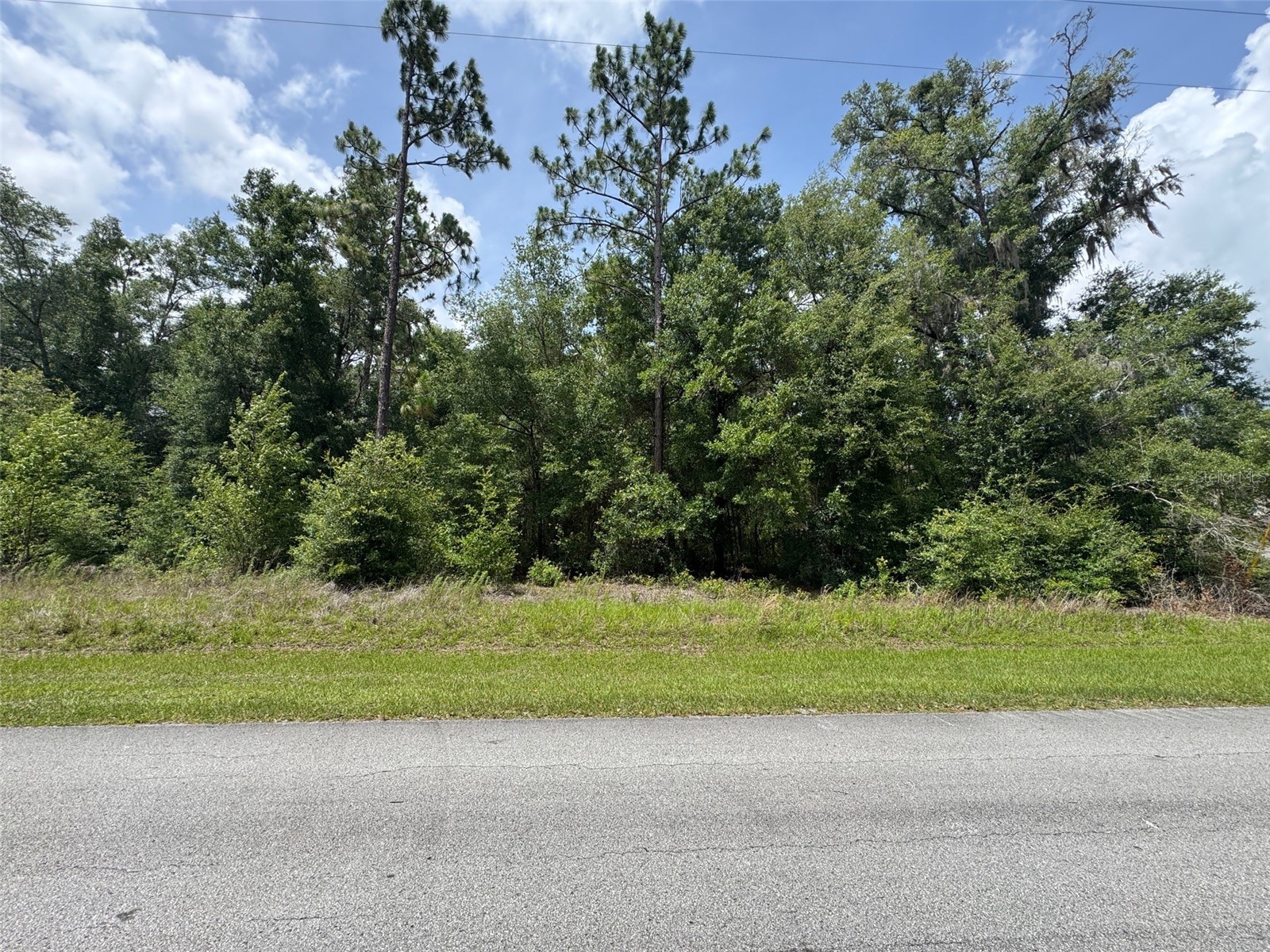 TBD SW 59th Lane Dunnellon FL 34431 OM727044 image1