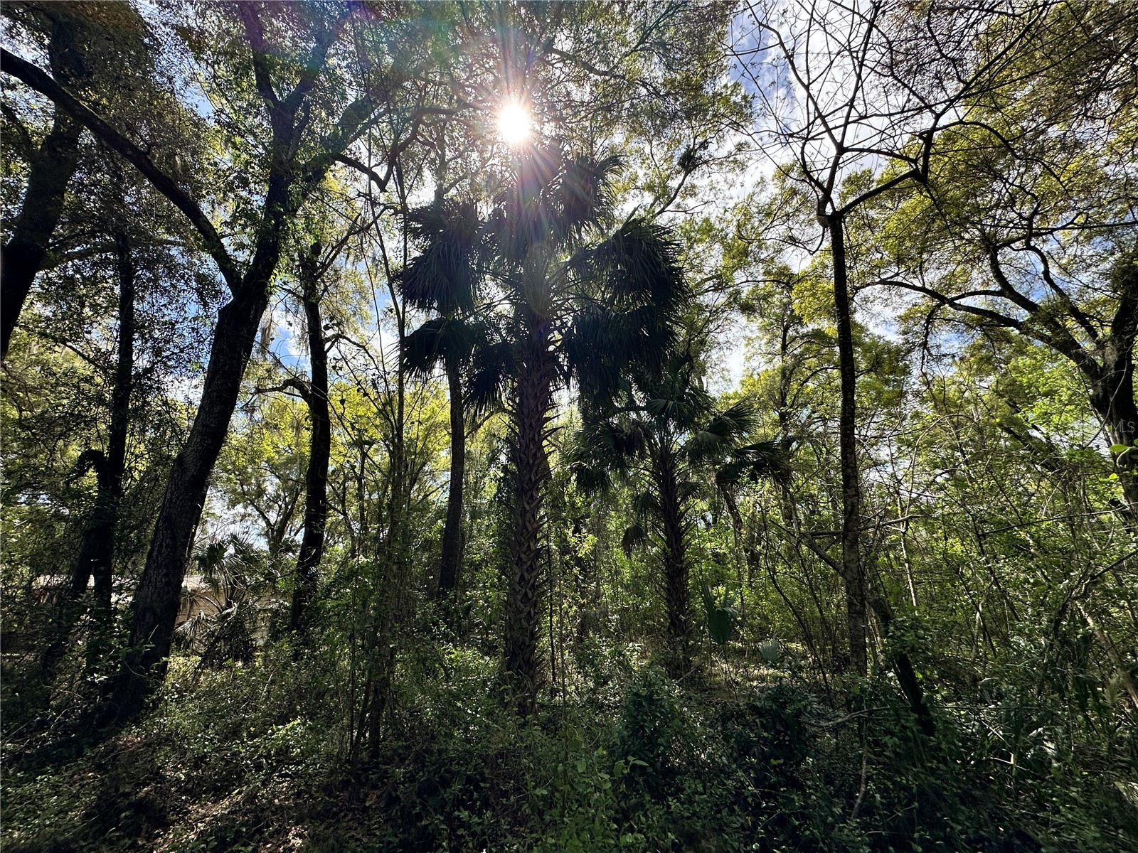 TBD SW 5th Lane Ocala FL 34481 OM710211 image15