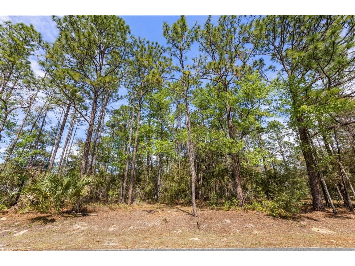 TBD SW 60th Street Dunnellon FL 34432 G5093570 image2