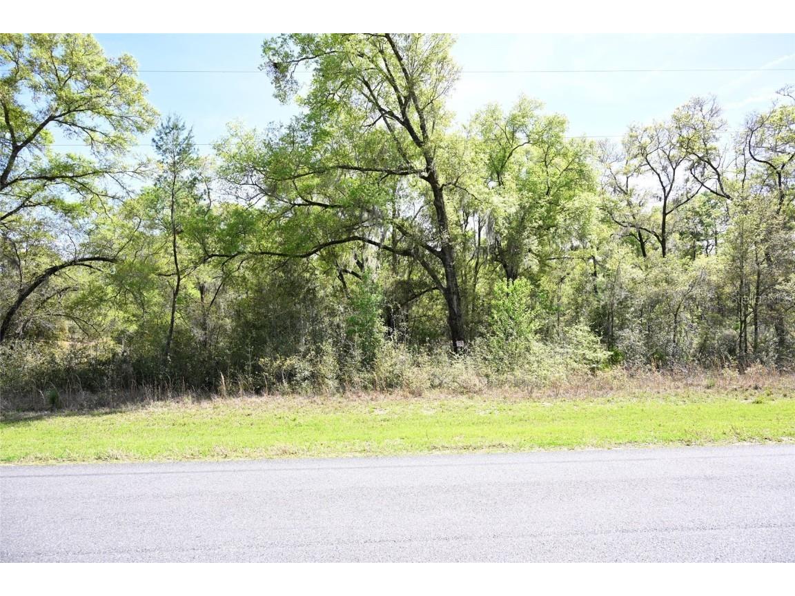 TBD SW 61st Place Road Ocala FL 34481 OM674470 image1