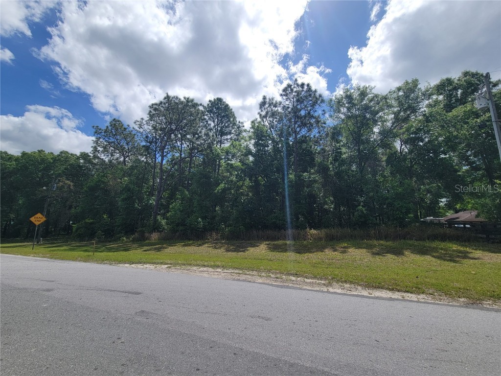 TBD SW 61st Place Road Ocala FL 34481 OM698994 image1