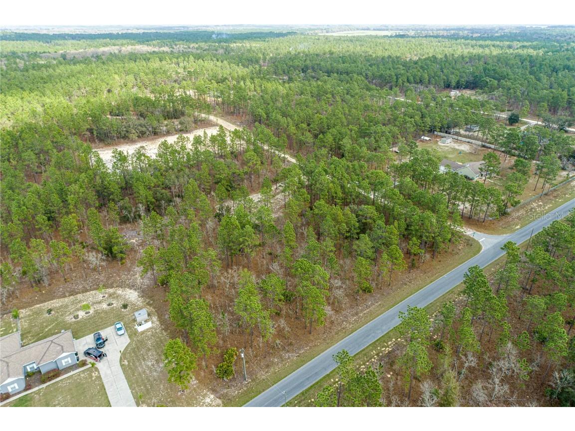 TBD (Sw 62nd Pl + Sw 127th Ave Rd) Ocala FL 34481 OM653929 image1