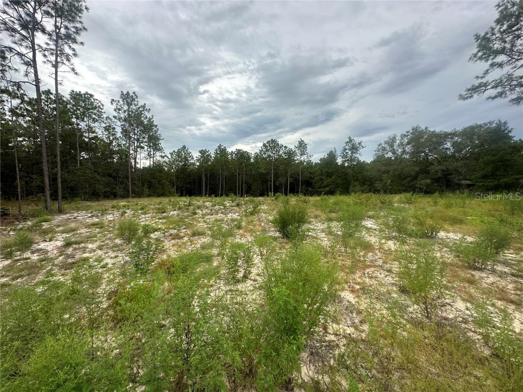 TBD SW 64th Street Road Ocala FL 34481 OM664326 image1