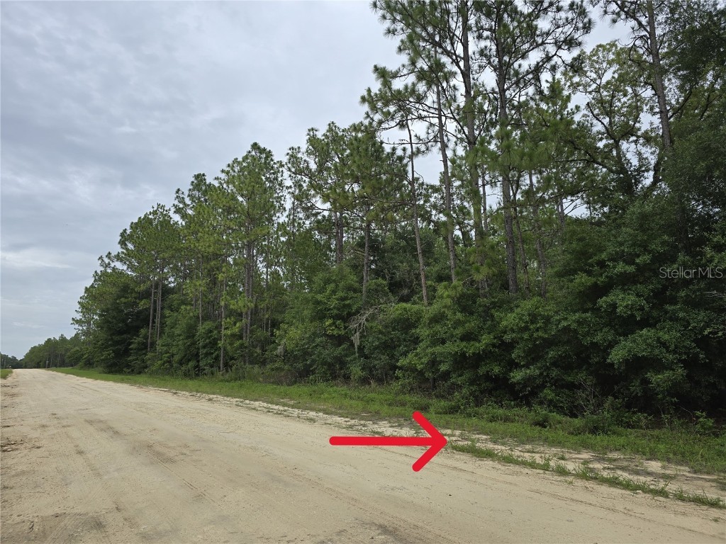 TBD SW 64th Street Road Ocala FL 34481 OM681712 image1