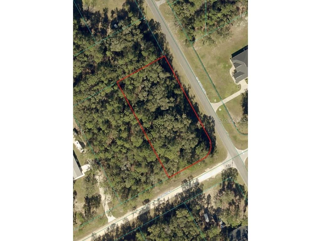 TBD SW 64th Street Road Ocala FL 34481 TB8416357 image1