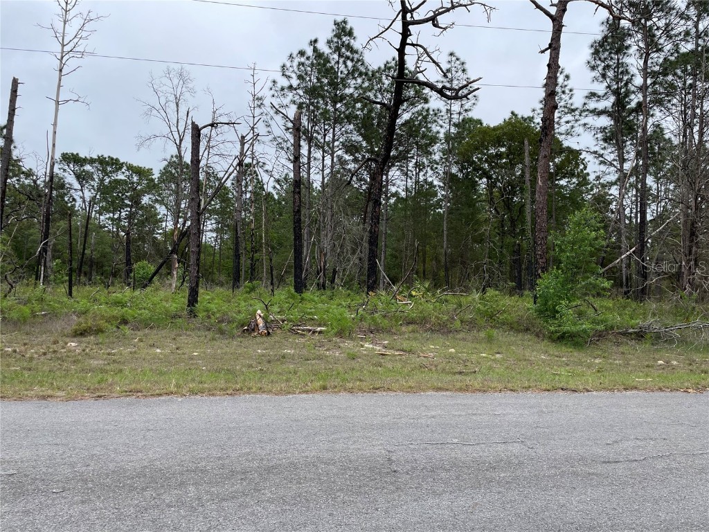 TBD SW 64th Terrace Road Ocala FL 34473 O6118088 image1