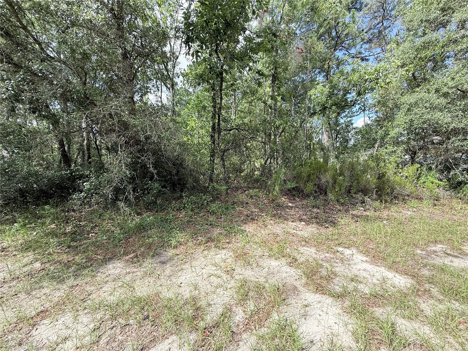 TBD SW 65th Avenue Road Ocala FL 34473 OM726701 image1