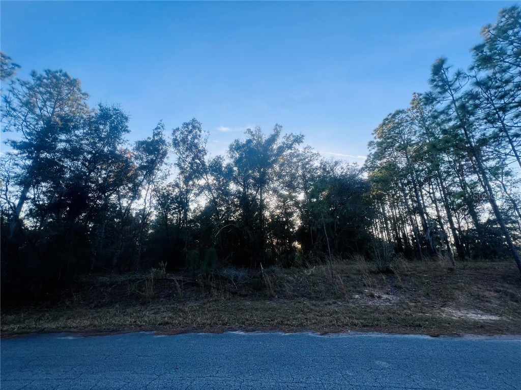 TBD SW 66th Loop Dunnellon FL 34432 A4631784 image1