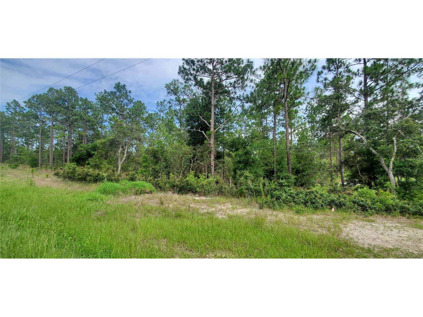 TBD SW 67th Lane Ocala FL 34481 OM660020 image1