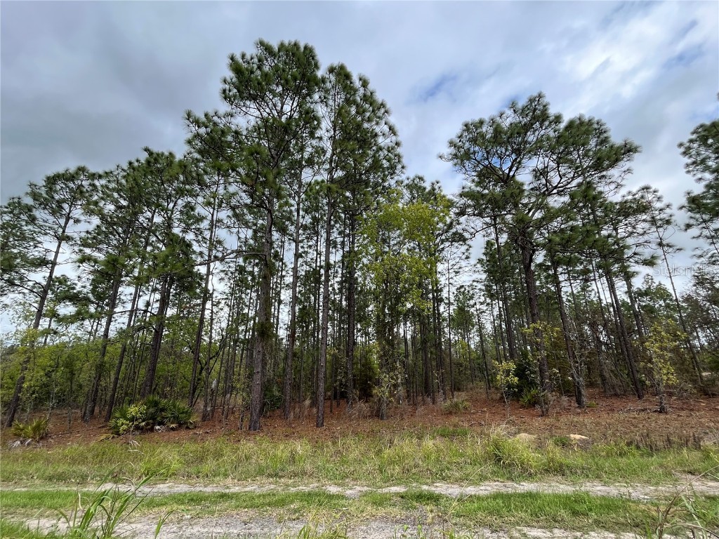 TBD SW 67th Lane Ocala FL 34481 OM675076 image1