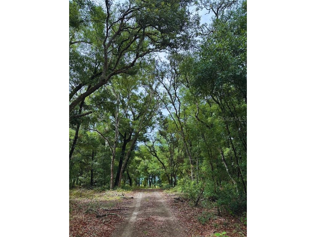 TBD SW 69th Place Dunnellon FL 34431 OM680190 image1