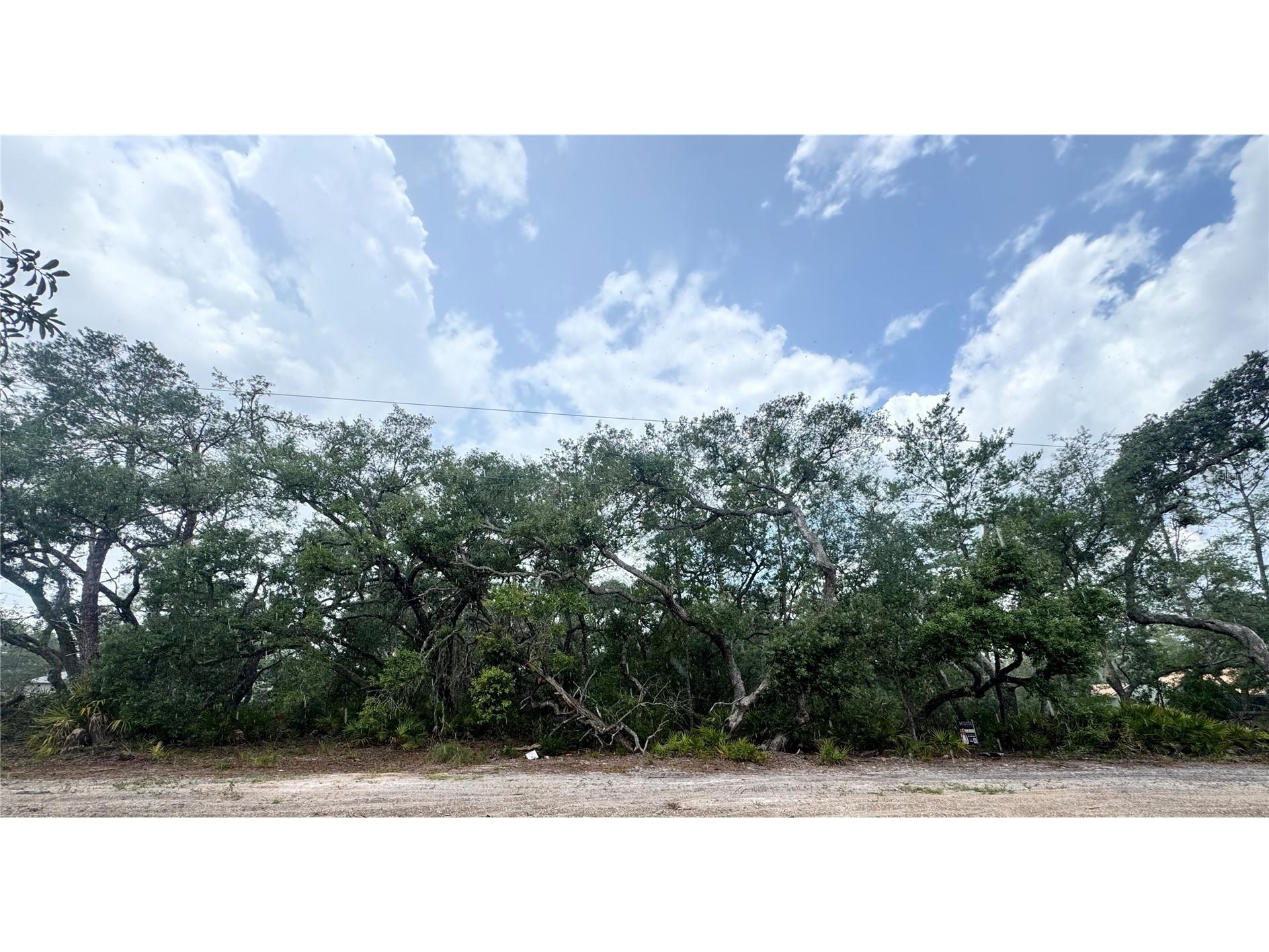 TBD SW 71st Road Ocala FL 34473 OM726508 image1