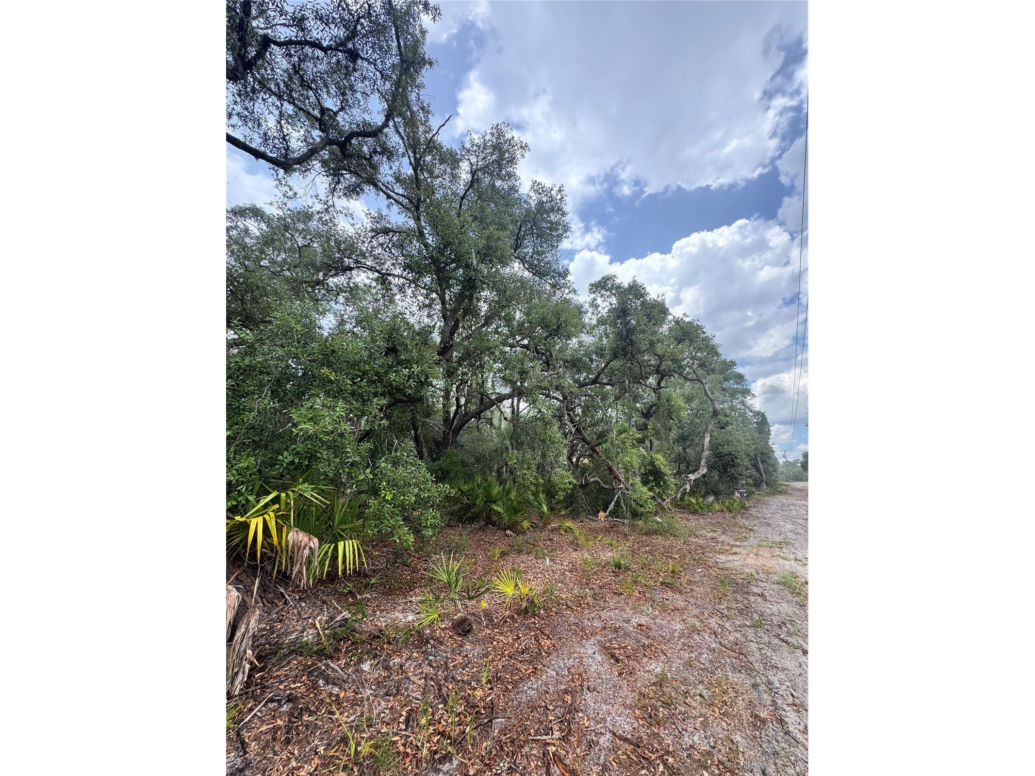 TBD SW 71st Road Ocala FL 34473 OM726508 image2
