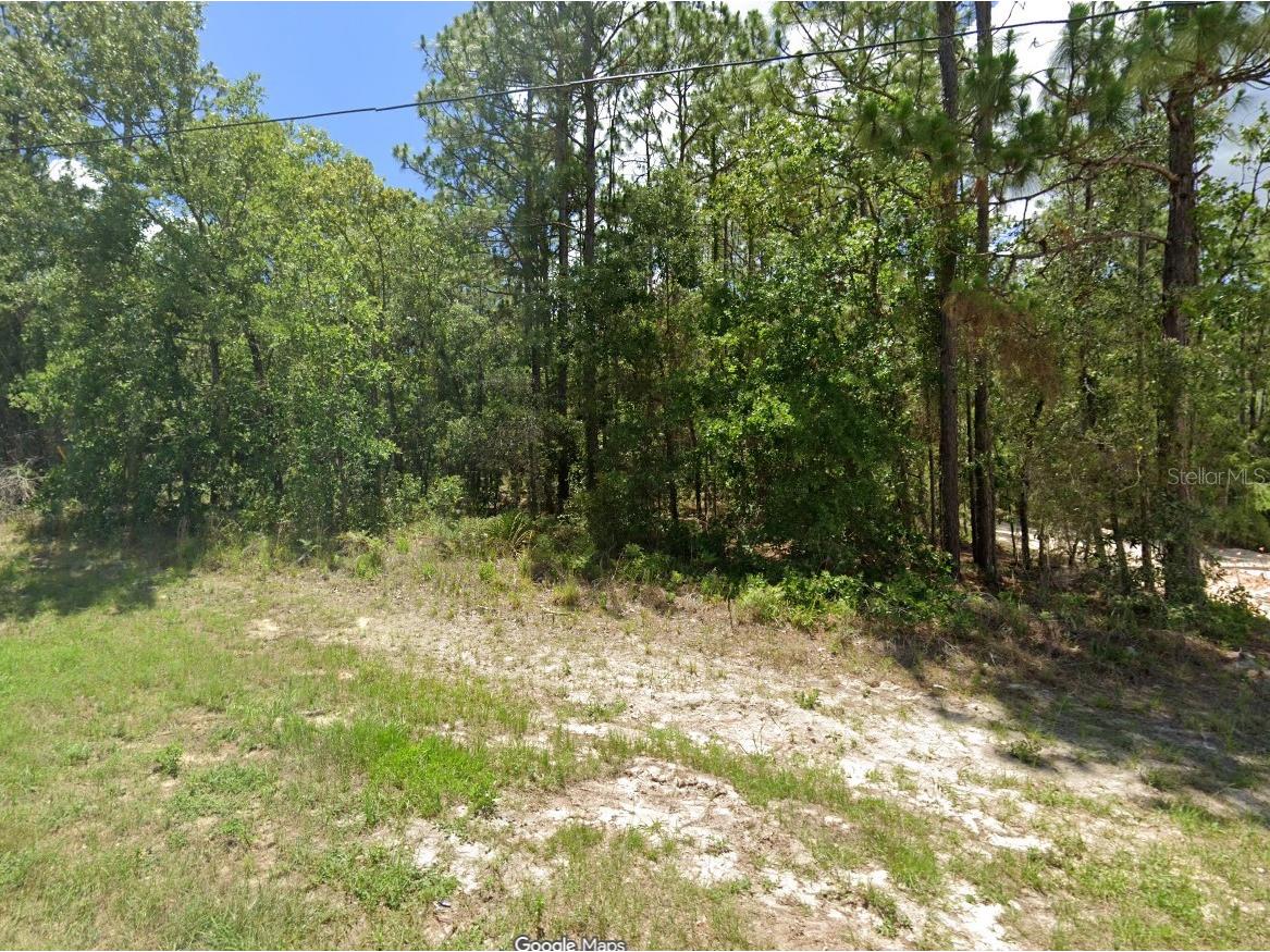 TBD SW 73rd Avenue Road Ocala FL 34473 OM707443 image1