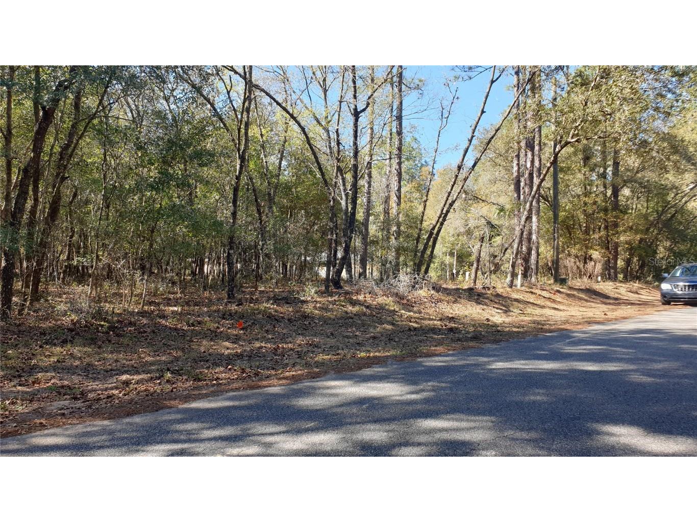 TBD SW 73rd Loop Dunnellon FL 34432 A4601880 image1