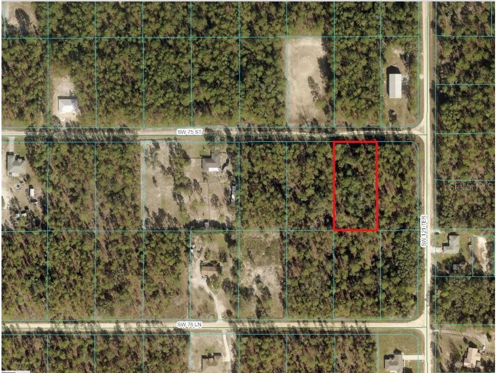 TBD SW 75th St Dunnellon FL 34432 OM678268 image1