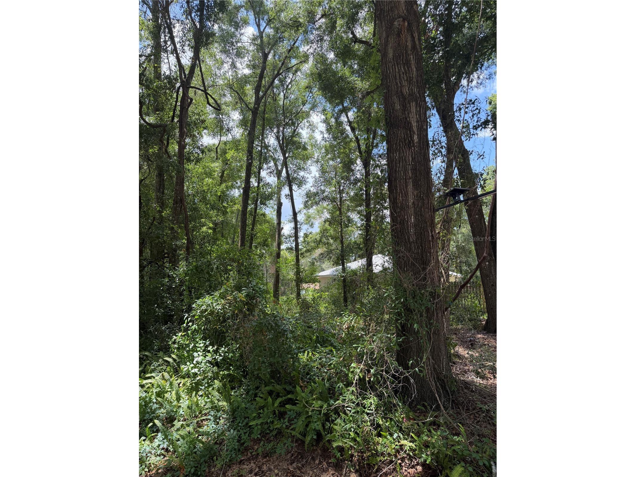 TBD SW 76th Avenue Ocala FL 34476 OM726783 image1