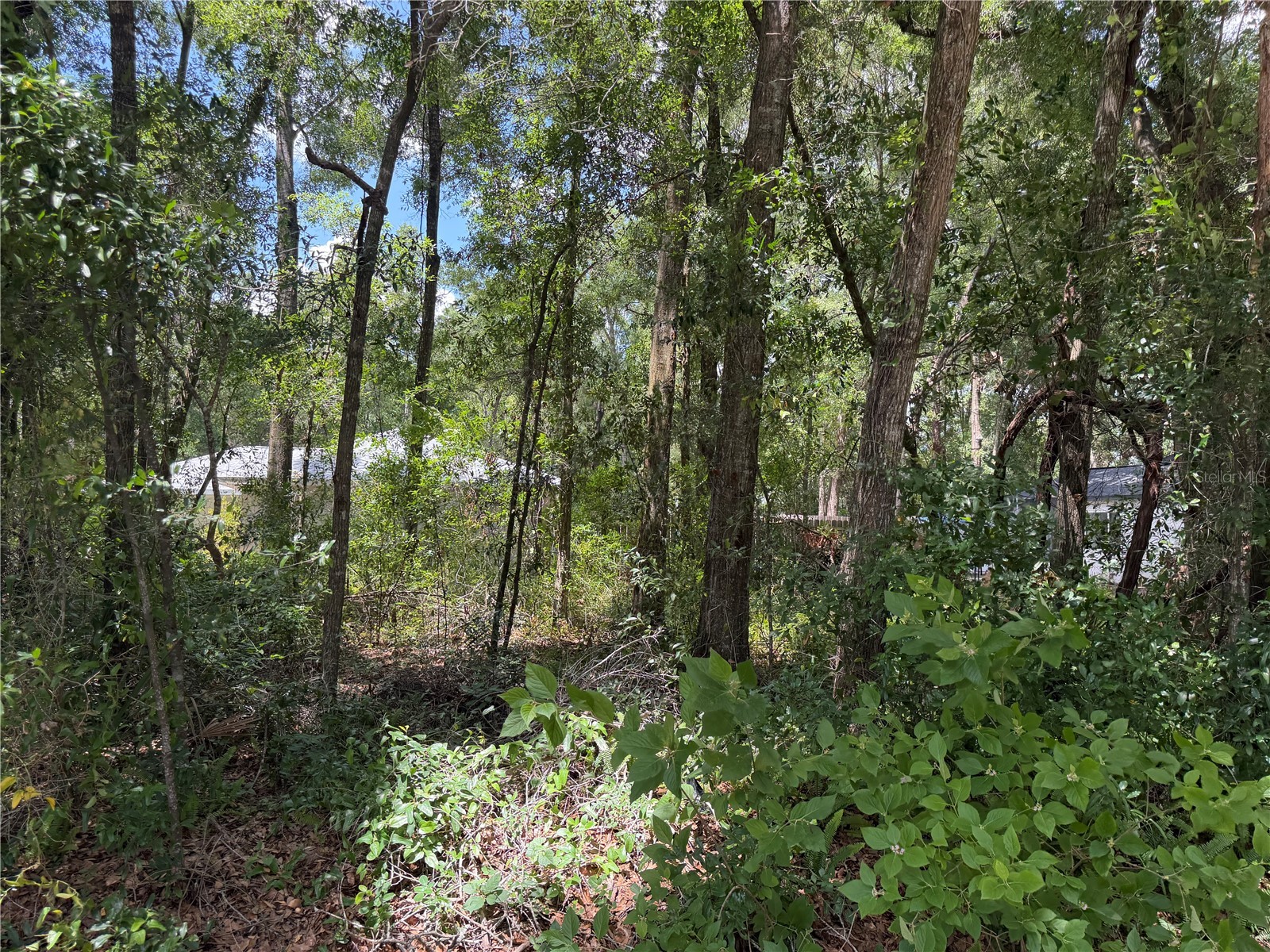TBD SW 76th Avenue Ocala FL 34476 OM726783 image2