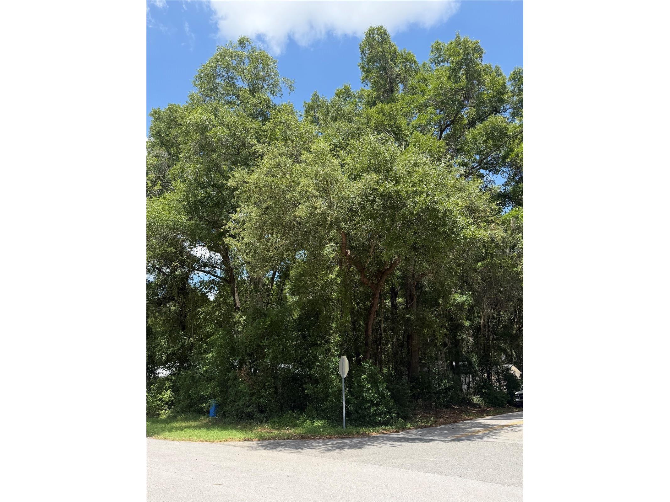 TBD SW 76th Avenue Ocala FL 34476 OM726783 image4