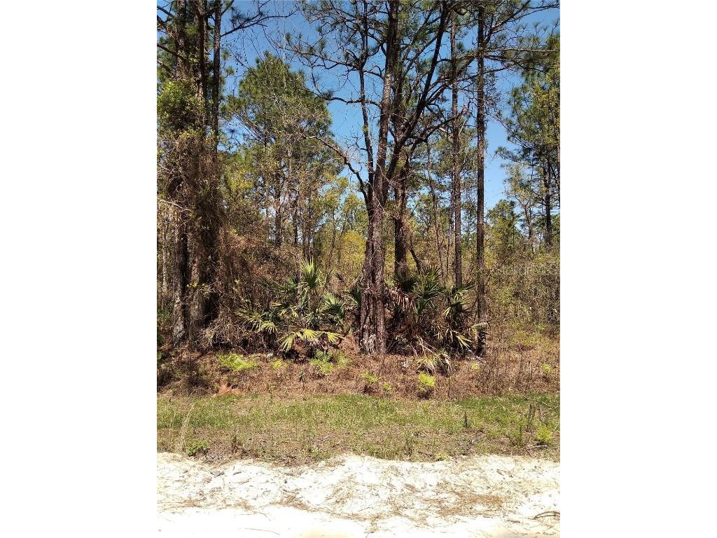 TBD SW 76th Lane Dunnellon FL 34432 OM636684 image1