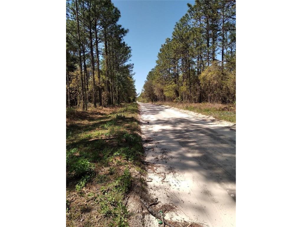 TBD SW 76th Lane Dunnellon FL 34432 OM679563 image1