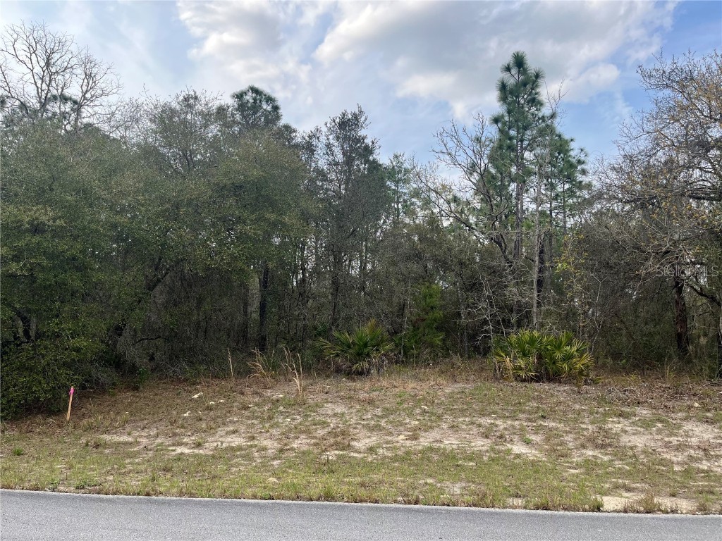 TBD SW 77th Court Dunnellon FL 34432 OK223833 image1