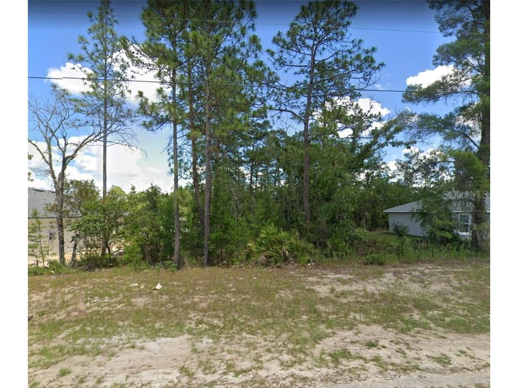 TBD SW 78th Circle Ocala FL 34473 T3471828 image1