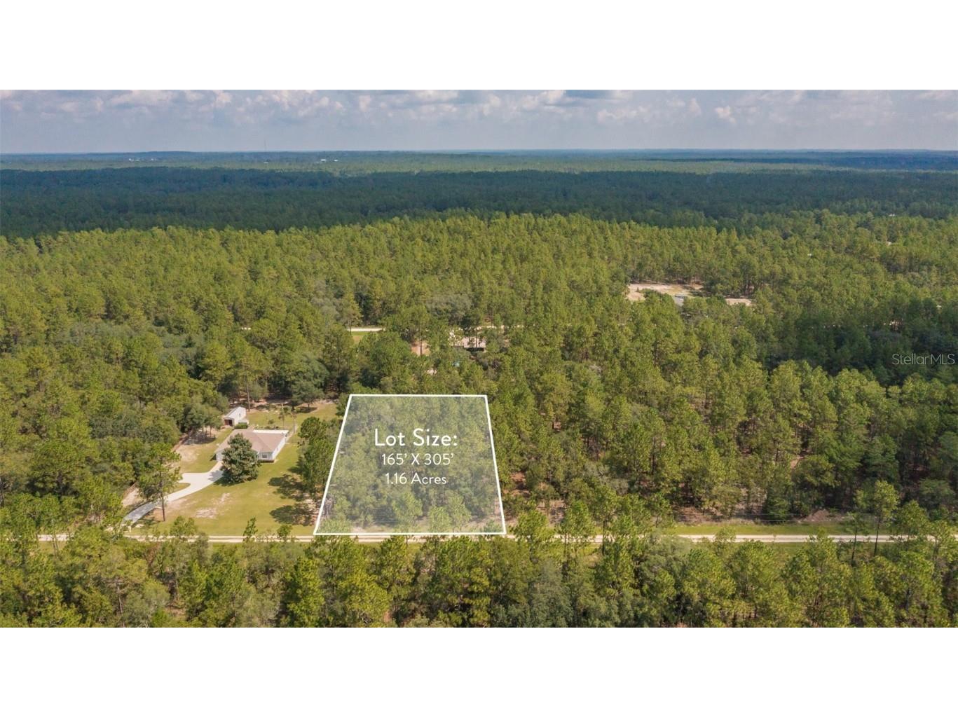TBD SW 78th Place Dunnellon FL 34432 O6076881 image1