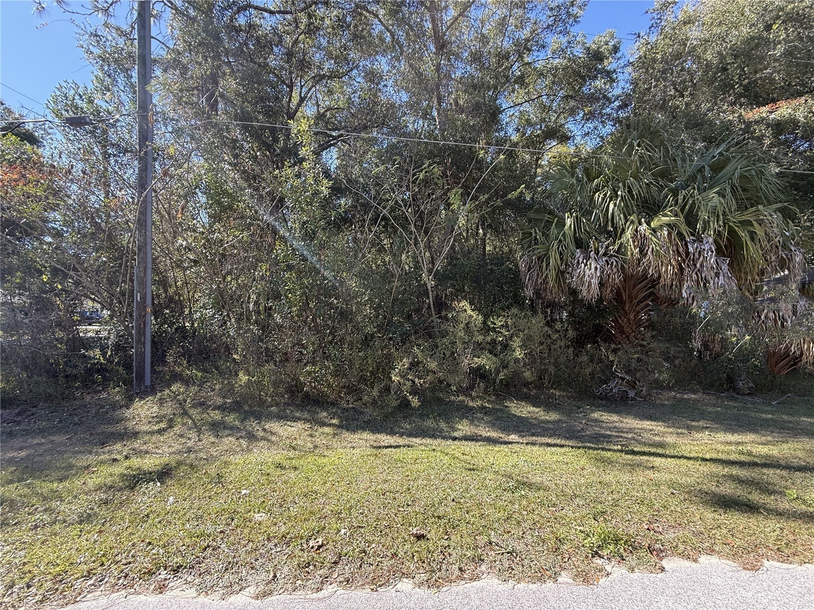 TBD SW 78th Street Ocala FL 34476 OM713425 image1