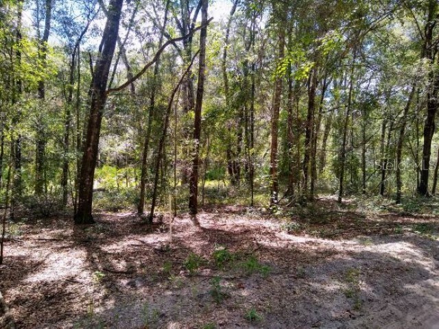 TBD SW 79th Place Archer FL 32618 GC524984 image1