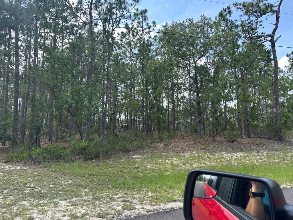 TBD SW 79th Terrace Ocala FL 34473 O6117823 image1