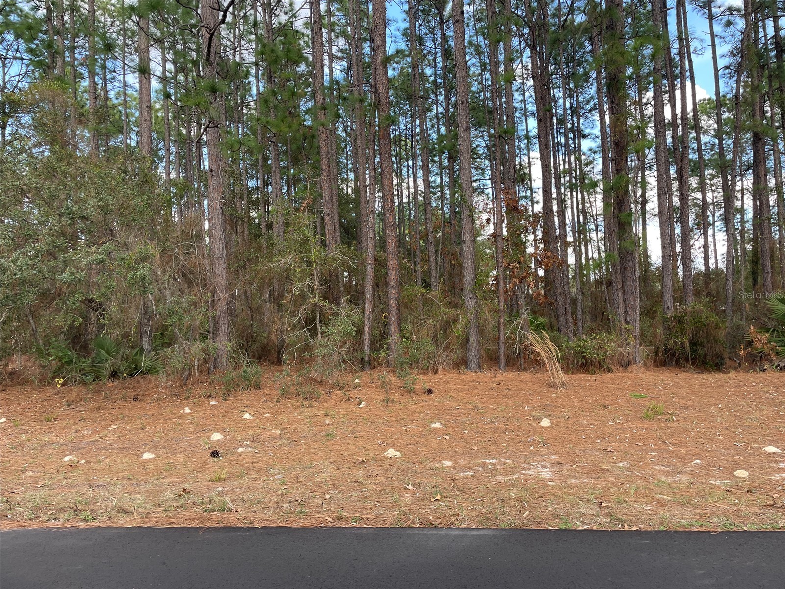 TBD SW 80th Court Ocala FL 34473 OM717346 image4